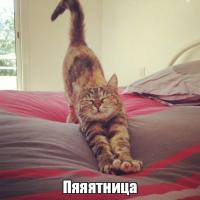 Малина