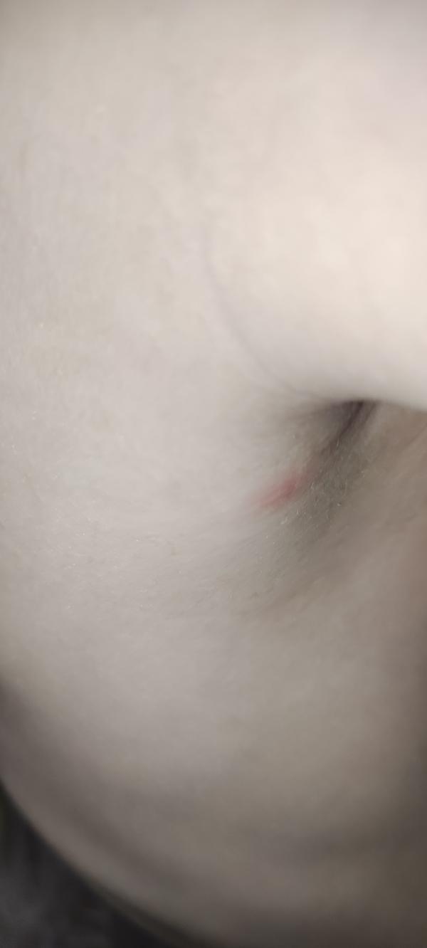 post image 4