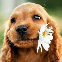 ♾КристинаКосметолог♾