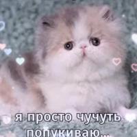 _no_name