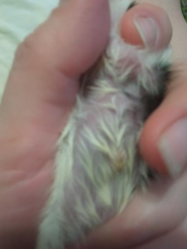 post image 3