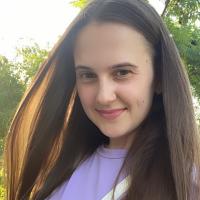 Vlada
