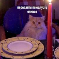Добро Пожаловать 🙏 