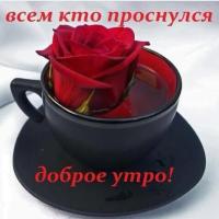 ясмина 