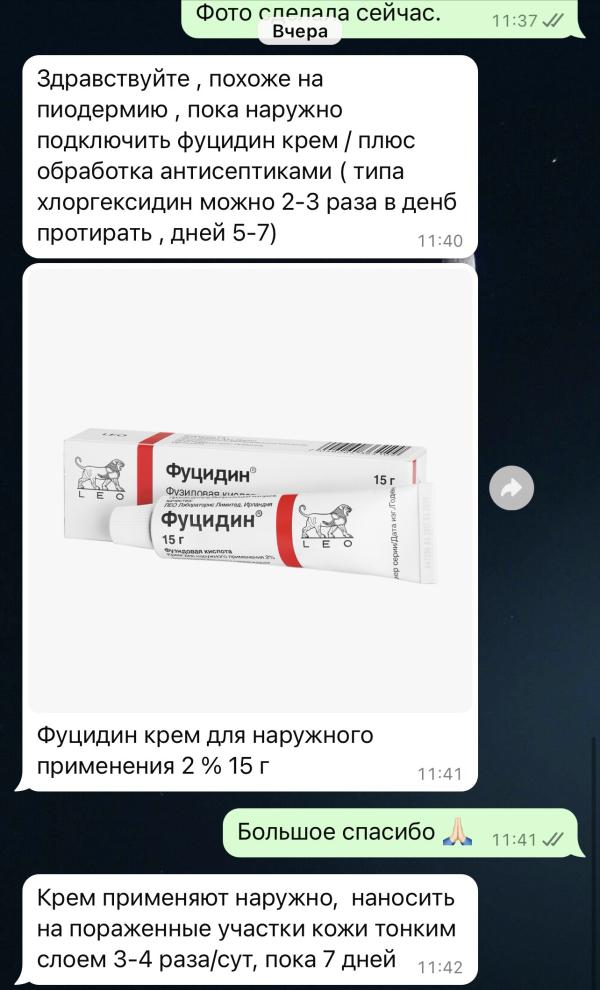 post image 3