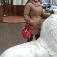 Светланка Шершень 
