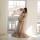 moiseeva_m9