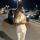 alybekova3605