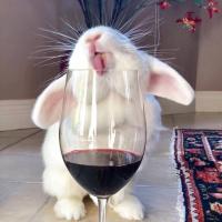 🍷Наташа 