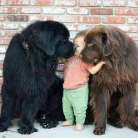 Инкогнито Инкогнитовна 