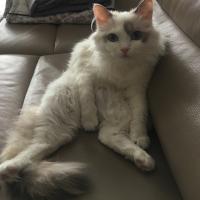 Оксана