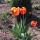 holidy.ru