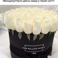 Катя