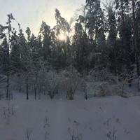 Анюта