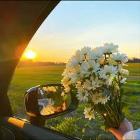 Юля 💐Но Это Не Точно 