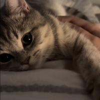 Оксана