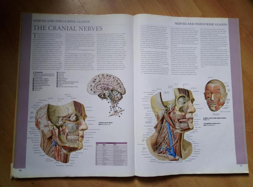 post image 4