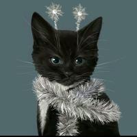 🐈‍⬛