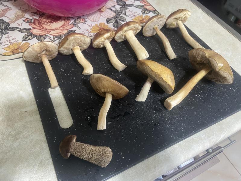 post image 4