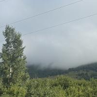 Дарья