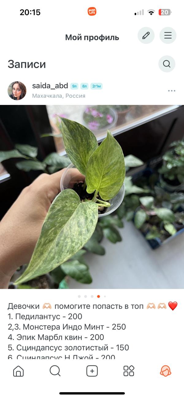 post image 4