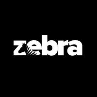 Jaluzi_zebra05