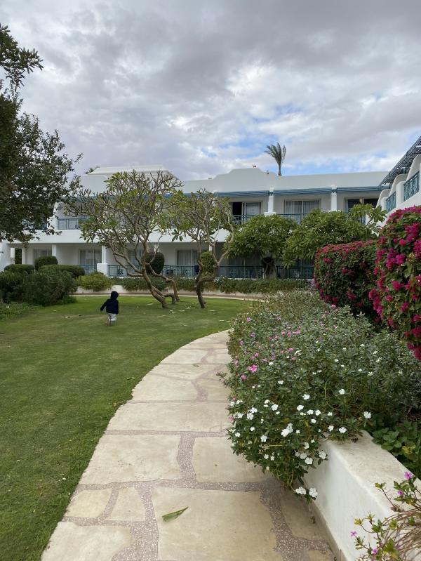 post image 4