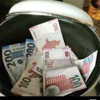 firuze_online_busines xelilova