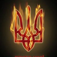 Полуниця~Паляниця
