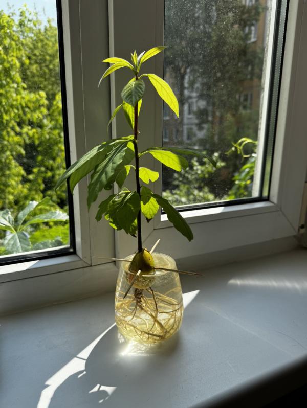 post image 4