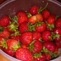 Маргарита Р