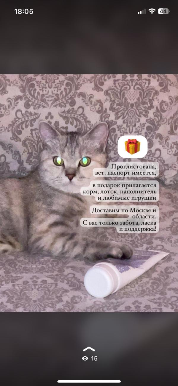 post image 5