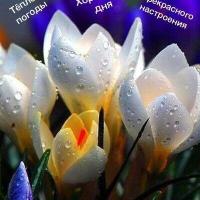 Олена