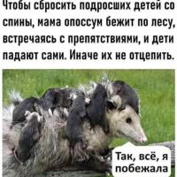 Алла