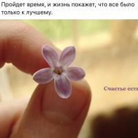 Г.А.Б.