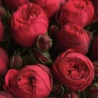 Хьава🌺