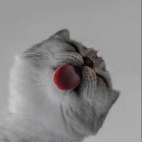 Юлия