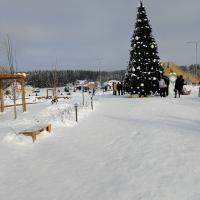 Таня