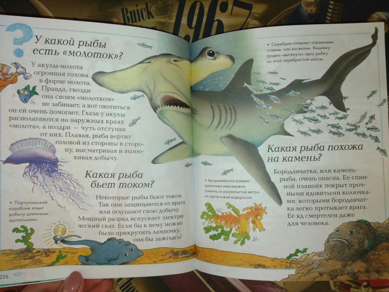post image 5