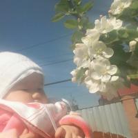 Эльвира