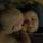 alna.petrova.2204