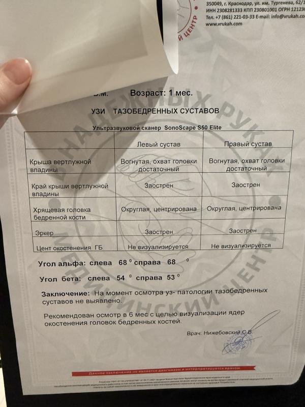 post image 4