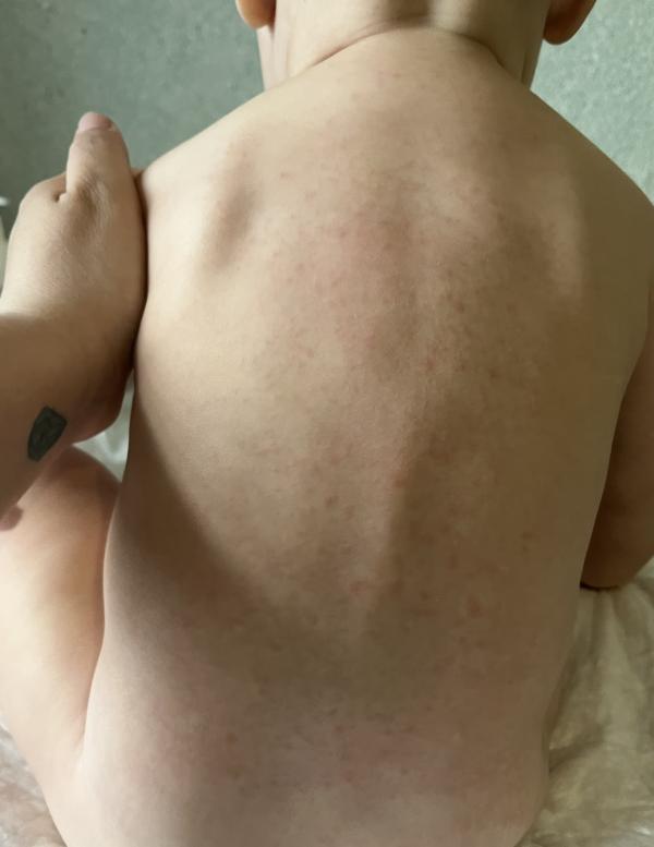 post image 5