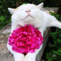 🎀 Лёлик 🎀