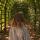 greis_julia