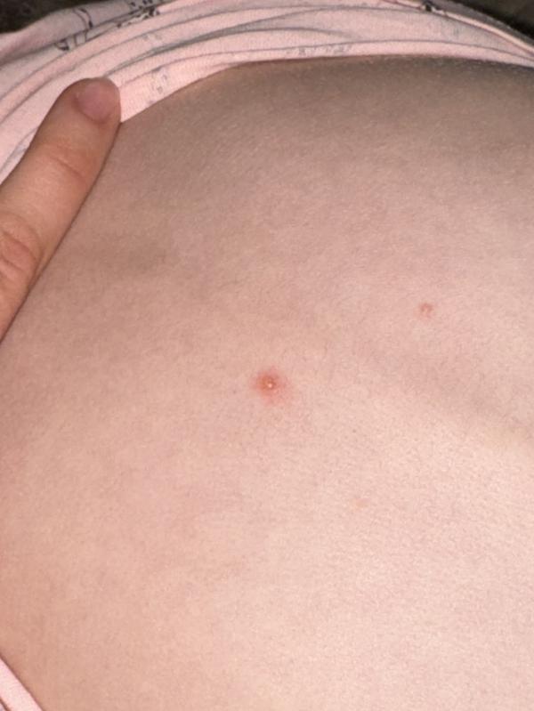 post image 4