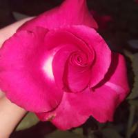 Марина 