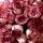 nailusha83