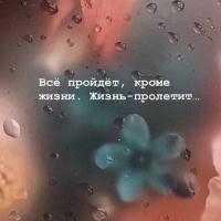 гос услуги