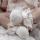 vasha_2023